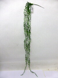 【人工観葉植物】【クイーンネックレス】【観葉植物】【送料無料】【触媒加工】