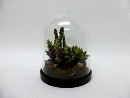 【人工観葉植物】【ボタニカルアレンジ】【送料無料】【造花】【インテリア】