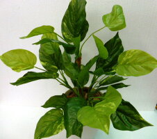 人工観葉植物ポトス【インテリアグリーン】【触媒加工】【オフィスグリーン】【造花】【送料込み】