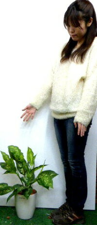 人工観葉植物ポトス【インテリアグリーン】【触媒加工】【オフィスグリーン】【造花】【送料込み】