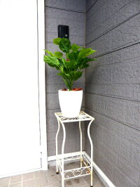 人工観葉植物ポトス【インテリアグリーン】【触媒加工】【オフィスグリーン】【造花】【送料込み】【屋外使用可】