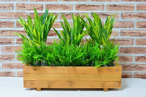 人工観葉植物ウッドプランター【触媒加工】【送料込み価格4980円】【オフィスグリーン】【フェイクグリーンプランター】