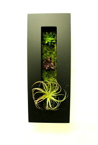 多肉植物【人工観葉】【触媒加工】【送量無料【【高さ40cm幅15cm暑さ4.5cm】