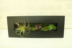 多肉植物【人工観葉】【触媒加工】【送量無料【【高さ40cm幅15cm暑さ4.5cm】