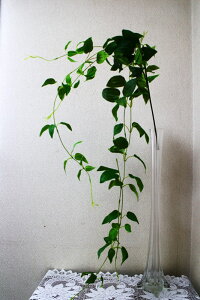 【人工観葉植物】【リキュウソウ}