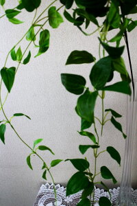 【人工観葉植物】【リキュウソウ}