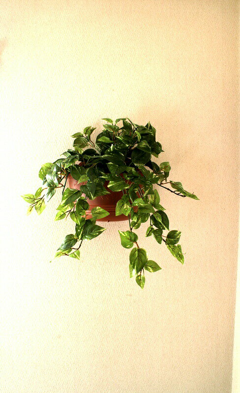 造花 人工観葉植物ポトス壁掛触媒加工品￥3980