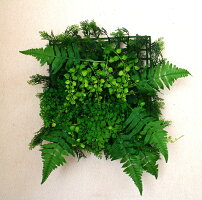 【グリーンパネル】【人工観葉植物】【グリーンマット】【触媒加工】【4柄よりお選び下さい】【繰り合わせ自由】