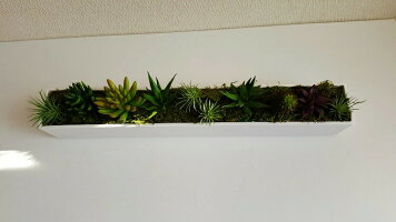 選べるカラーwhiteBlackフェイクサボテンインテリアテーブルセンターアレンジ多肉植物お洒落ラッピング可能フェイクグリーンアレンジメントグリーンディスプレイ領収書発行【造花】【人工観葉植物多肉植物の仲間たち】【送料無料】【白・黒】【触媒加工品】