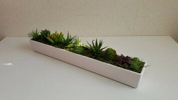 選べるカラーwhiteBlackフェイクサボテンインテリアテーブルセンターアレンジ多肉植物お洒落ラッピング可能フェイクグリーンアレンジメントグリーンディスプレイ領収書発行【造花】【人工観葉植物多肉植物の仲間たち】【送料無料】【白・黒】【触媒加工品】