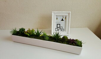 選べるカラーwhiteBlackフェイクサボテンインテリアテーブルセンターアレンジ多肉植物お洒落ラッピング可能フェイクグリーンアレンジメントグリーンディスプレイ領収書発行【造花】【人工観葉植物多肉植物の仲間たち】【送料無料】【白・黒】【触媒加工品】