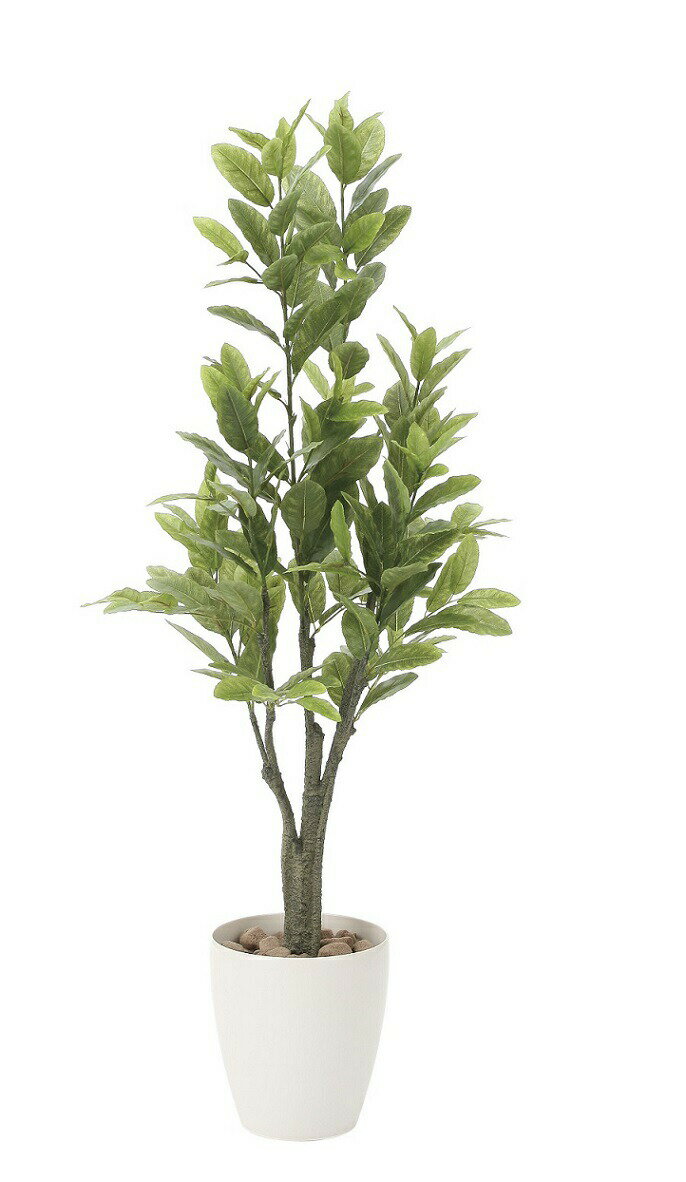 フェイクグリーン 観葉植物 フェイク 人工観葉植物 光触媒 造花 インテリア リアル おしゃれ お祝い 樹 木 室内 人気 空気清浄 玄関 リビング オフィス 部屋 シンプル 抗菌 消臭 観葉樹 レモン 1.25m