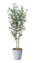 フェイクグリーン 観葉植物 フェイク 人工観葉植物 光触媒 造花 インテリア リアル おしゃれ お祝い 樹 木 室内 人気 空気清浄 玄関 リビング オフィス ...
