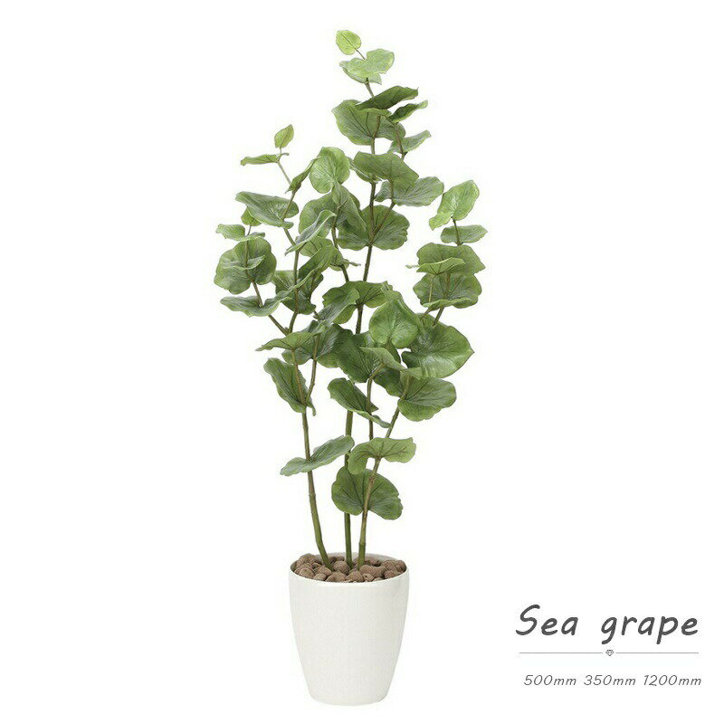 人気提案 光触媒 人工観葉植物 光の楽園 観葉植物 造花 葉っぱ ギフト お祝い 開店 光の楽園 開業 おしゃれ おすすめ 鉢 シーグレープ インテリア フェイクグリーン 人工観葉植物 消臭 光触媒 アレンジ おしゃれ リアル カフェ 玄関 リビング 真鶴町 7ebb0b28 人気提案 光触媒 人工観葉植物 光の楽園 観葉植物 造花 葉っぱ ギフト お祝い 開店 光の楽園 開業 おしゃれ おすすめ 鉢 シーグレープ インテリア フェイクグリーン 人工観葉植物 消臭 光触媒 アレンジ おしゃれ リアル カフェ 玄関 リビング 真鶴町 7ebb0b28