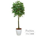 フェイクグリーン 観葉植物 フェイク 人工観葉植物 光触媒 造花 インテリア リアル おしゃれ お祝い 樹 木 室内 人気 空気清浄 玄関 リビング オフィス ...