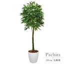 楽天造花の専門店 きつつきフェイクグリーン 観葉植物 フェイク 人工観葉植物 光触媒 造花 インテリア リアル おしゃれ お祝い 樹 木 室内 人気 空気清浄 玄関 リビング オフィス 部屋 シンプル 抗菌 消臭 観葉樹 パキラ 1.6m（139k550）