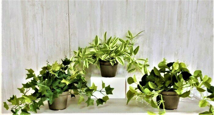 【人工観葉植物】【テーブルグリーン3点セット】【送料無料】触媒加工品