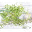最安値に挑戦 white Green leaf かわいいインテリア 造花 B級品 造花 葉っぱ クリスマス 造花 きらきら キラキラ 造花 タイム セール スーパーセール