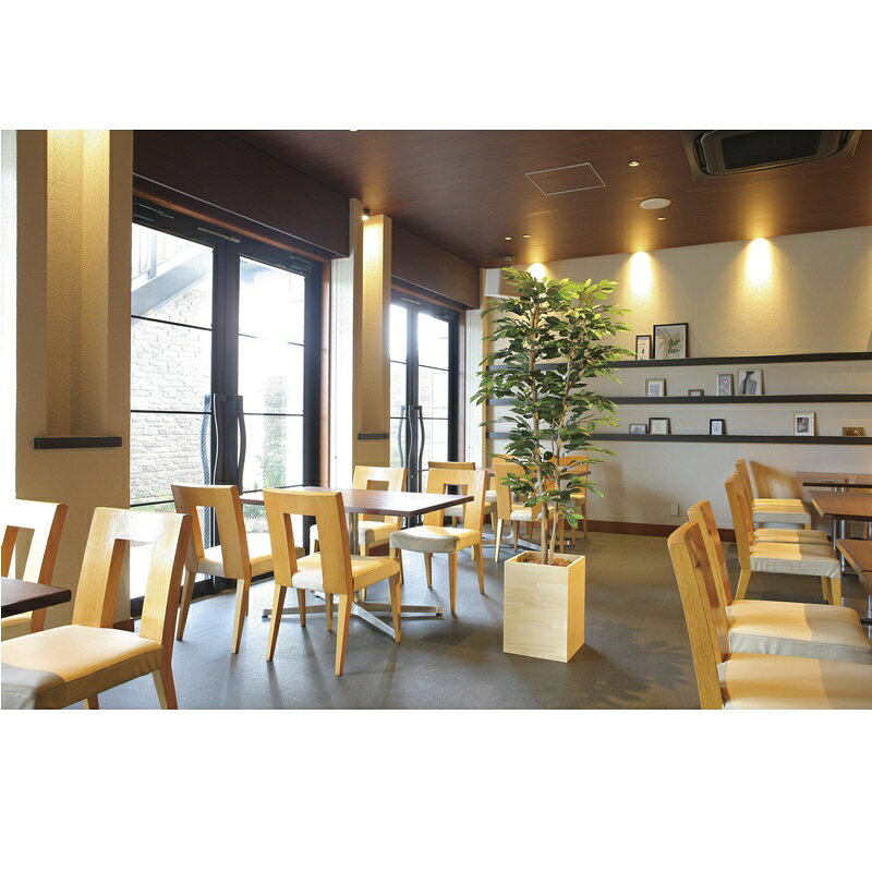 人工観葉植物　フェイクグリーン　【光触媒】 アーバンゴールデンリーフ.8m　　送料無料