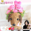 遅れてごめんね 母の日 花 ギフト お菓子 送料無料 楽天1位 アートフラワー お菓子 セット 母の日 ポット ピンク イエロー プレゼント 花 フラワー ギフ...
