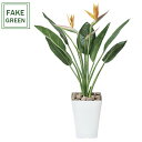 フェイクグリーン 観葉植物 フェイク 人工観葉植物 光触媒 造花 インテリア リアル おしゃれ お祝い 樹 木 室内 人気 空気清浄 玄関 リビング オフィス ...