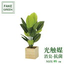 フェイクグリーン 観葉植物 フェイク 人工観葉植物 光触媒 造花 インテリア リアル おしゃれ お祝い 樹 木 室内 人気 空気清浄 玄関 リビング オフィス ...