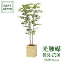 フェイクグリーン 観葉植物 フェイク 人工観葉植物 光触媒 造花 インテリア リアル おしゃれ お祝い 樹 木 室内 人気 空気清浄 玄関 リビング オフィス ...