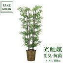 フェイクグリーン 観葉植物 フェイク 人工観葉植物 光触媒 造花 インテリア リアル おしゃれ お祝い 樹 木 室内 人気 空気清浄 玄関 リビング オフィス ...