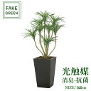 フェイクグリーン 観葉植物 フェイク 人工観葉植物 光触媒 造花 インテリア リアル おしゃれ お祝い 樹 木 室内 人気 空気清浄 玄関 リビング オフィス ...