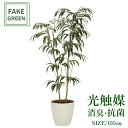 フェイクグリーン 観葉植物 フェイク 人工観葉植物 光触媒 造花 インテリア リアル おしゃれ お祝い 樹 木 室内 人気 空気清浄 玄関 リビング オフィス ...