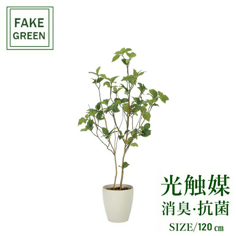 フェイクグリーン 観葉植物 フェイク 人工観葉植物 光触媒 造花 インテリア リアル おしゃれ お祝い 樹 木 室内 人気 空気清浄 玄関 リビング オフィス 部屋 シンプル 抗菌 消臭 観葉樹 サラサドウダン1.2m 2323a210
