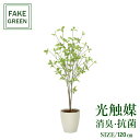 フェイクグリーン 観葉植物 フェイク 人工観葉植物 光触媒 造花 インテリア リアル おしゃれ お祝い 樹 木 室内 人気 空気清浄 玄関 リビング オフィス ...