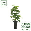 フェイクグリーン 観葉植物 フェイク 人工観葉植物 光触媒 造花 インテリア リアル おしゃれ お祝い 樹 木 室内 人気 空気清浄 玄関 リビング オフィス ...