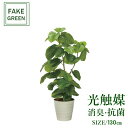 フェイクグリーン 観葉植物 フェイク 人工観葉植物 光触媒 造花 インテリア リアル おしゃれ お祝い 樹 木 室内 人気 空気清浄 玄関 リビング オフィス ...