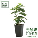 フェイクグリーン 観葉植物 フェイク 人工観葉植物 光触媒 造花 インテリア リアル おしゃれ お祝い 樹 木 室内 人気 空気清浄 玄関 リビング オフィス ...
