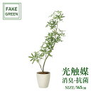 フェイクグリーン 観葉植物 フェイク 人工観葉植物 光触媒 造花 インテリア リアル 人気 空気清浄 玄関 リビング オフィス 部屋 シンプル 抗菌 消臭 観葉...