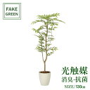 フェイクグリーン 観葉植物 フェイク 人工観葉植物 光触媒 造花 インテリア リアル おしゃれ お祝い 樹 木 室内 人気 空気清浄 玄関 リビング オフィス ...