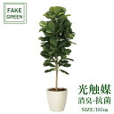 フェイクグリーン 観葉植物 フェイク 人工観葉植物 光触媒 造花 インテリア リアル おしゃれ お祝い 樹 木 室内 人気 空気清浄 玄関 リビング オフィス ...