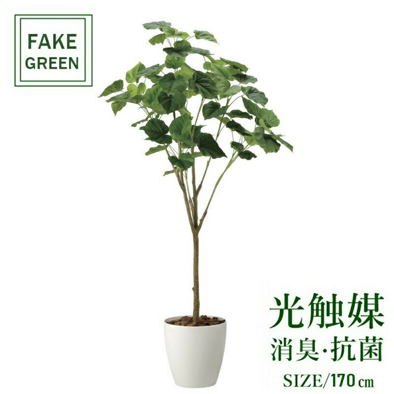 フェイクグリーン 観葉植物 フェイク 人工観葉植物 光触媒 造花 インテリア リアル おしゃれ お祝い 樹 木 室内 人気 空気清浄 玄関 リビング オフィス 部屋 シンプル 抗菌 消臭 観葉樹 フィカスウンベラータ1.7m 2117a430