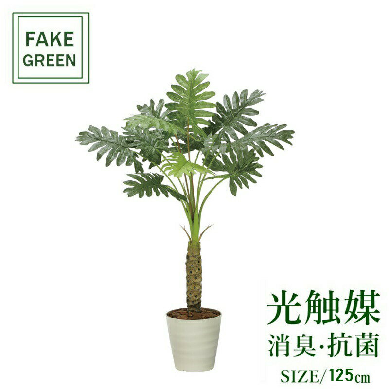 フェイクグリーン 観葉植物 フェイク 人工観葉植物 光触媒 造花 インテリア リアル おしゃれ お祝い 樹 木 室内 人気 空気清浄 玄関 リビング オフィス 部屋 シンプル 抗菌 消臭 観葉樹 セローム1.25m 2341a170