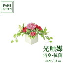 フェイクグリーン 観葉植物 フェイク 人工観葉植物 光触媒 造花 インテリア リアル おしゃれ お祝い 樹 木 室内 人気 空気清浄 玄関 リビング オフィス ...