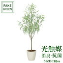 楽天造花の専門店 きつつきフェイクグリーン 観葉植物 フェイク 人工観葉植物 光触媒 造花 インテリア リアル おしゃれ お祝い 樹 木 室内 人気 空気清浄 玄関 リビング オフィス 部屋 シンプル 抗菌 消臭 観葉樹 フレッシュシルバーユーカリ 1.7m 2330a50