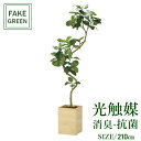 フェイクグリーン 観葉植物 フェイク 人工観葉植物 光触媒 造花 インテリア リアル おしゃれ お祝い 樹 木 室内 人気 空気清浄 玄関 リビング オフィス ...