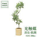 フェイクグリーン 観葉植物 フェイク 人工観葉植物 光触媒 造花 インテリア リアル おしゃれ お祝い 樹 木 室内 人気 空気清浄 玄関 リビング オフィス ...