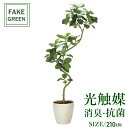 フェイクグリーン 観葉植物 フェイク 人工観葉植物 光触媒 造花 インテリア リアル おしゃれ お祝い 樹 木 室内 人気 空気清浄 玄関 リビング オフィス ...