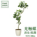 楽天造花の専門店 きつつきフェイクグリーン 観葉植物 フェイク 人工観葉植物 光触媒 造花 インテリア リアル おしゃれ お祝い 樹 木 室内 人気 空気清浄 玄関 リビング オフィス 部屋 シンプル 抗菌 消臭 観葉樹 ツイストアルテシマ2.1m（組立式） 2337a825