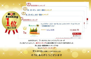 フェイクグリーン【ゴールドクレストミックスフラワーウッドプランター】【抗菌】【抗ウイルス】【消臭】【人工観葉植物】【触媒加工】【清潔に保つ】【屋外】【高品質フラワー】【書いて送料無料】ダイアモンド原料UDD触媒加工05P30May15