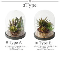 ボタニカル/アレンジメント/ボタニカルアレンジ/雑貨/サボテン/選べる2種類/ボタニカル/多肉アレンジメント/ドームアレンジメント/造花多肉/フェイク多肉/ガラス花器/オシャレ/贈り物/ギフト/記念日/誕生日/お花/最安値に挑戦/多肉/フェイクグリーン/領収書発行