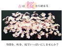 桜 造花 大量 まとめ売り 送料無料 ケース販売 96本 全長54cm 最安値に挑戦 造花 対応 春 装飾 あす楽※条件有　　さくら　店舗ディスプレイ　カフェ　展示会　商業施設　アレンジメント　造花　アーティシャルフラワー 2