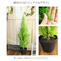 【人工観葉植物】【ゴールドクレスト】【人工観葉植物ゴールドクレスト】【フェイクグリーン】【送料無料】【インテリアグリーン】【90cm】【造花】【触媒加工】【屋外可】